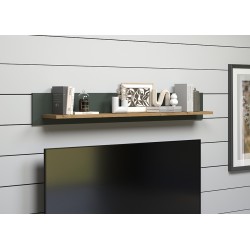 Seinariiul STANTON roheline / tamm, mööbel, elutoamööbel, riiulid