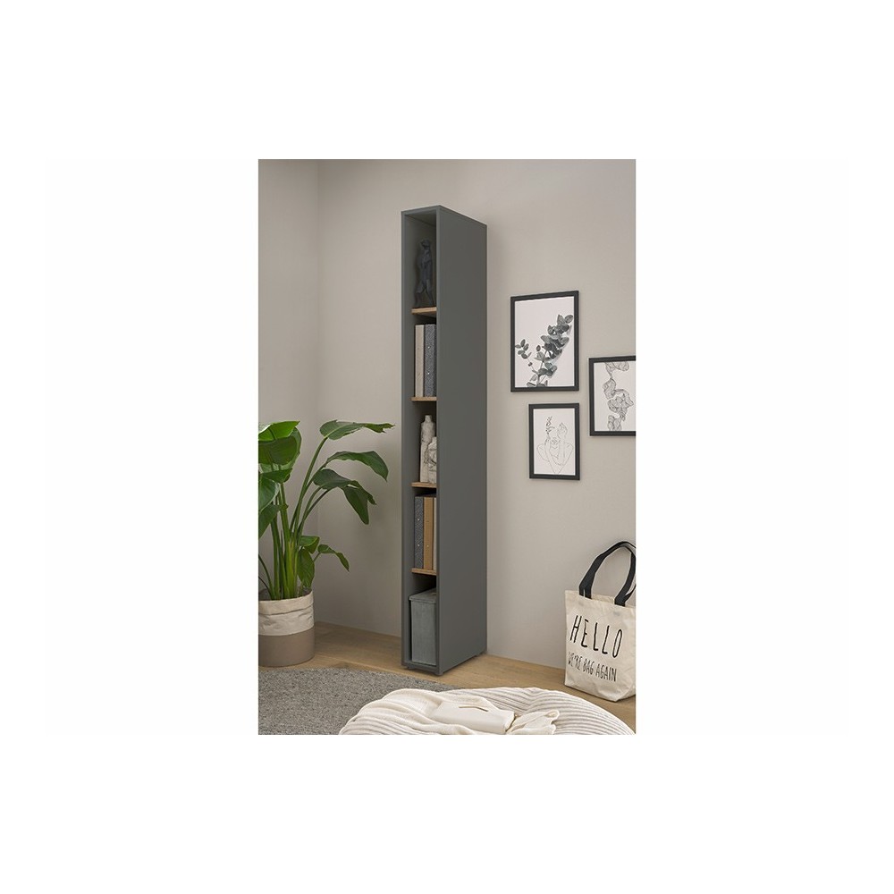 Riiul CITY antratsiit / tamm, mööbel, kontorimööbel, riiulid, kapp