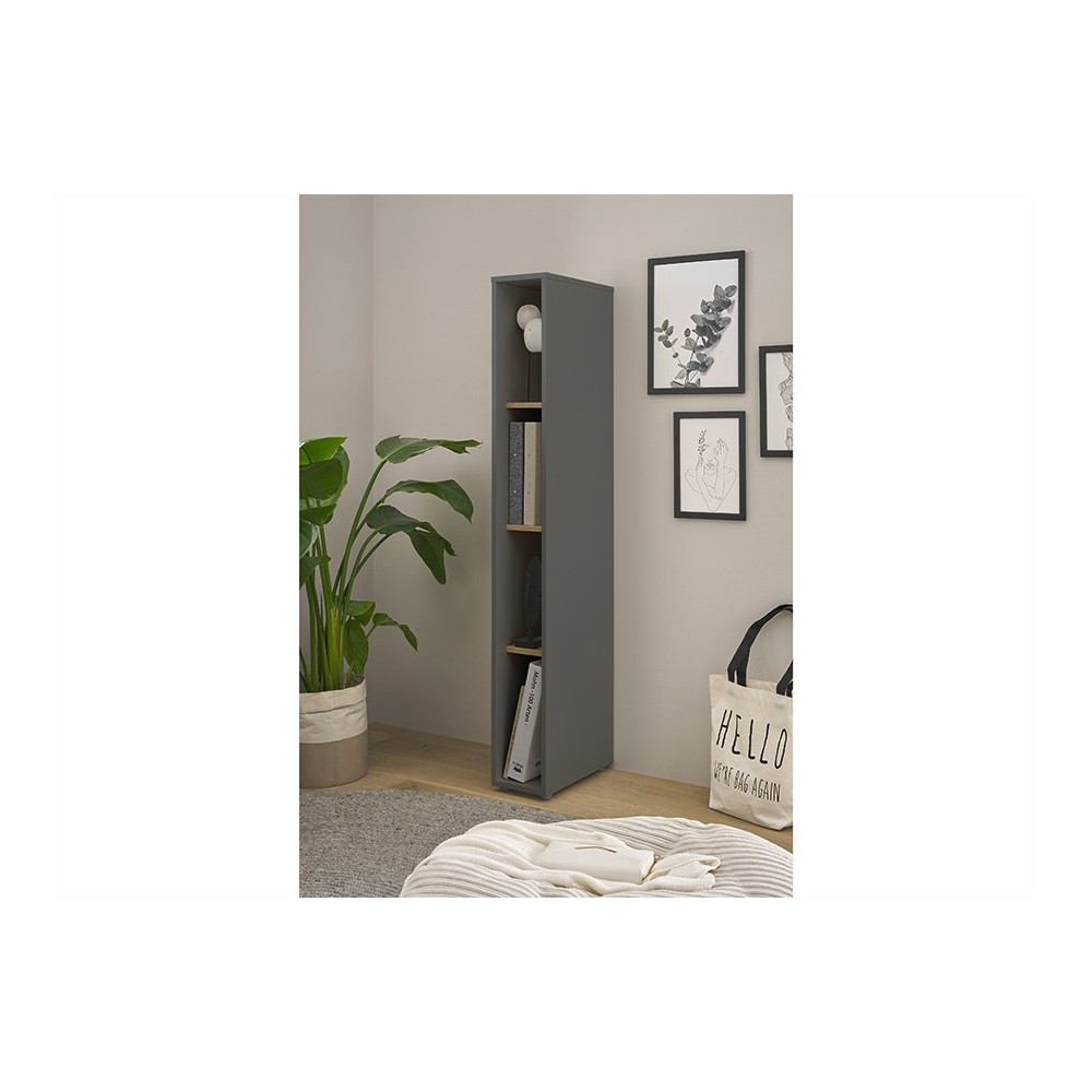 Riiul CITY antratsiit / tamm, mööbel, kontorimööbel, riiulid, kapp