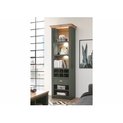 Kapp-riiul CAMBRIDGE roheline / tamm, mööbel, elutoamööbel, riiulid