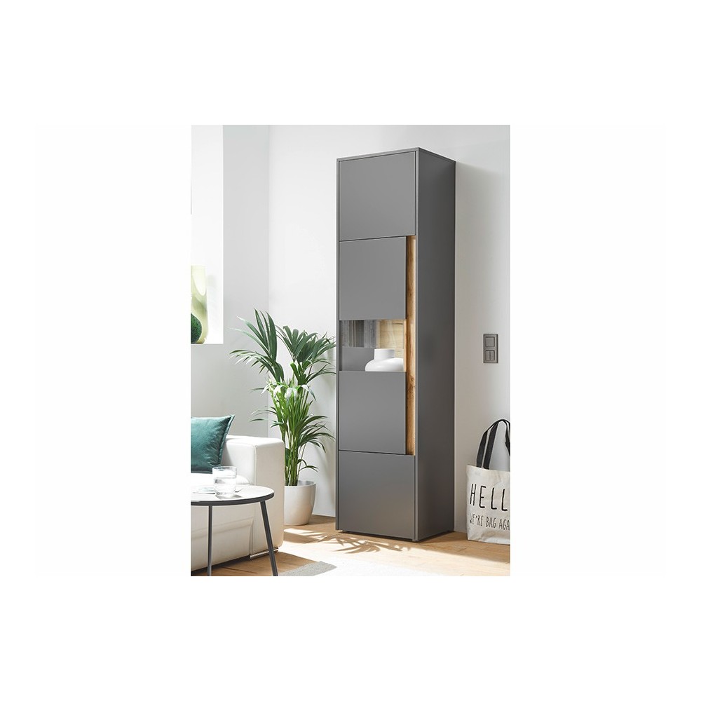 Vitriinkapp CITY antratsiit / tamm, 50x40xH200 cm