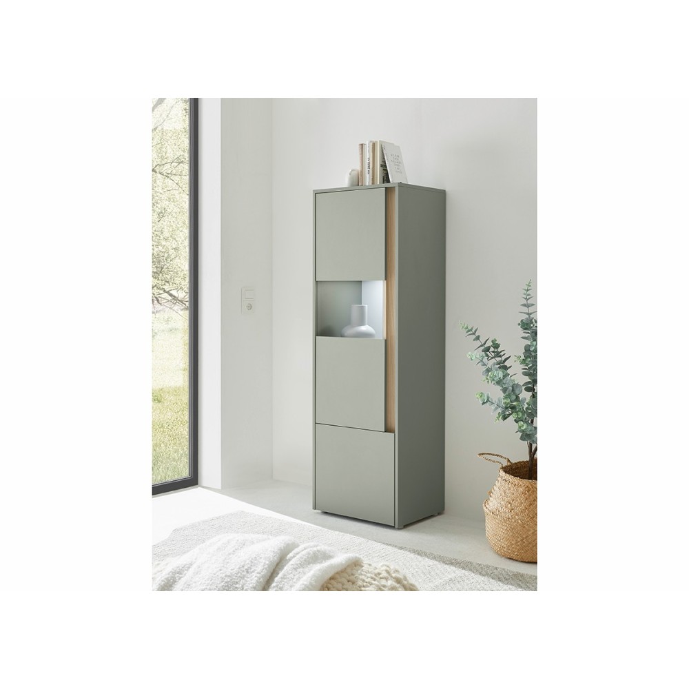 Vitriinkapp CITY roheline / tamm, 50x40xH157 cm