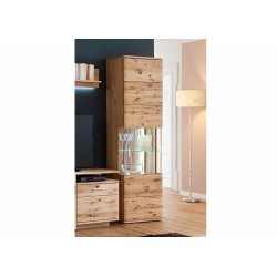 Vitriinkapp SANTORI tamm, 60x37xH208 cm, elutoamööbel, mööbel