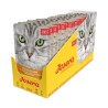 Josera kassieine pasteet kalkuni ja suvikõrvitsaga 16x85g