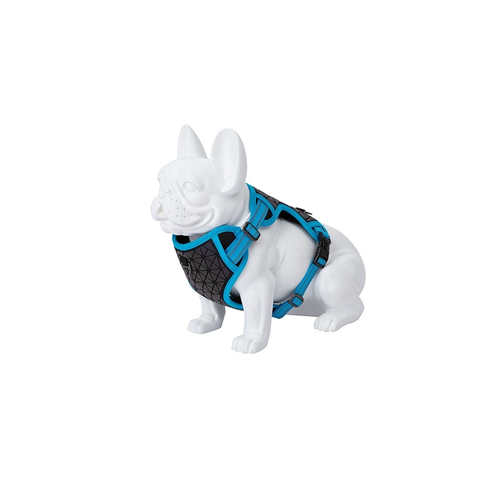 Freedog Boreal kaprisinised traksid koerale 20mm 38-75cm