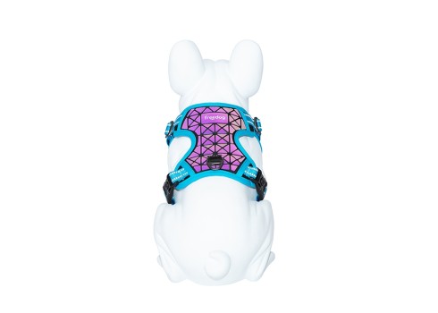 Freedog Boreal kaprisinised traksid koerale 20mm 38-75cm
