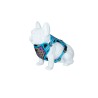 Freedog Boreal kaprisinised traksid koerale 20mm 38-75cm