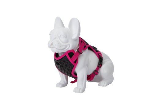 Freedog Boreal fuksiaroosad traksid koerale 15mm 34-63cm