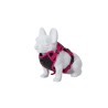 Freedog Boreal fuksiaroosad traksid koerale 15mm 34-63cm