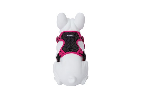Freedog Boreal fuksiaroosad traksid koerale 15mm 34-63cm