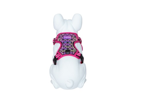 Freedog Boreal fuksiaroosad traksid koerale 15mm 34-63cm