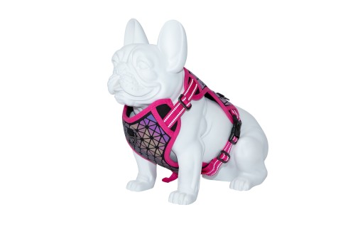 Freedog Boreal fuksiaroosad traksid koerale 15mm 34-63cm