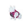 Freedog Boreal fuksiaroosad traksid koerale 15mm 34-63cm