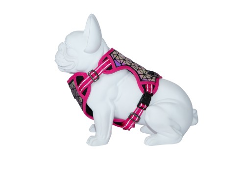 Freedog Boreal fuksiaroosad traksid koerale 15mm 34-63cm