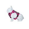 Freedog Boreal fuksiaroosad traksid koerale 15mm 34-63cm