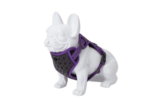 Freedog Boreal sirelilillad traksid koerale 15mm 34-63cm