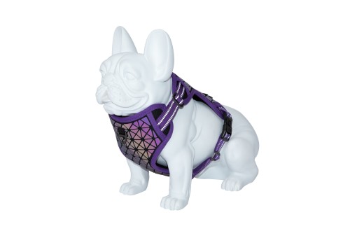 Freedog Boreal sirelilillad traksid koerale 15mm 34-63cm