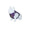 Freedog Boreal sirelilillad traksid koerale 15mm 34-63cm