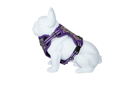 Freedog Boreal sirelilillad traksid koerale 15mm 34-63cm