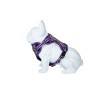 Freedog Boreal sirelilillad traksid koerale 15mm 34-63cm