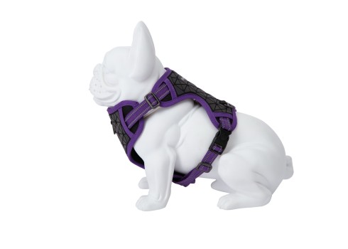 Freedog Boreal sirelilillad traksid koerale 15mm 34-63cm