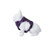 Freedog Boreal sirelilillad traksid koerale 15mm 34-63cm