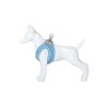 Freedog Shiva taevasinised traksid koerale XS 20-35cm