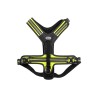 Record kollased traksid koerale 70-95cm L