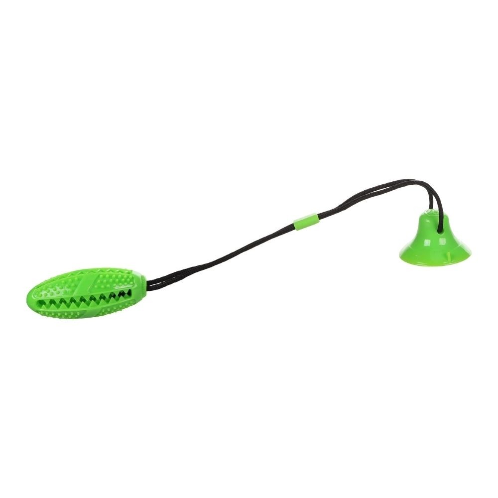 FLMG mänguasi koertele Klevo pulk nööriga, roheline, 45cm