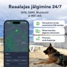 Petloc8 GPS jälgimisseade koerale