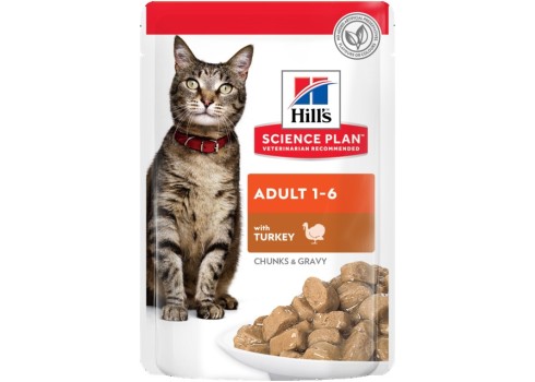 Hills kassi einekotike kalkun 12x85g