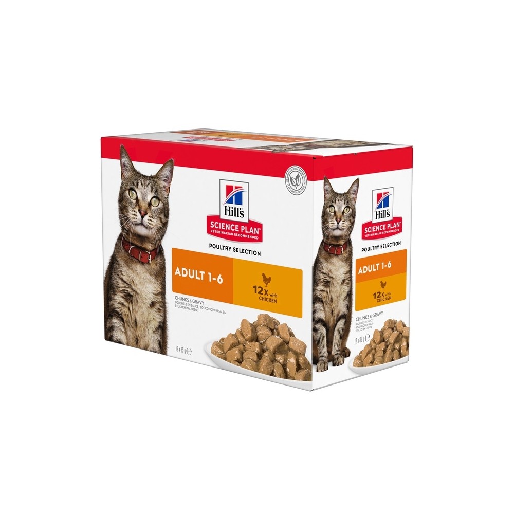 Hills kassi einekotike kana 12x85g