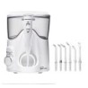 Hambavahede puhastaja, Waterpik WF-150