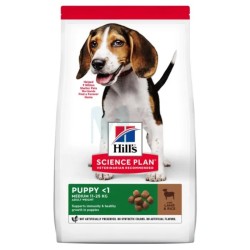 HILLS KUTSIKA TÄISSÖÖT KESK.TÕUG LAMMAS/RIIS 14kg