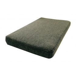 Padi pingile