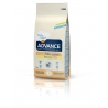 ADVANCE kassipojatoit 3kg, kassitoit, toit kassipojale