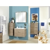 Vannitoakapp OFFENBACH tamm Sanremo, 60x33xH100,5