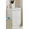 Vannitoakapp TRIER valge, 50x33xH81 cm