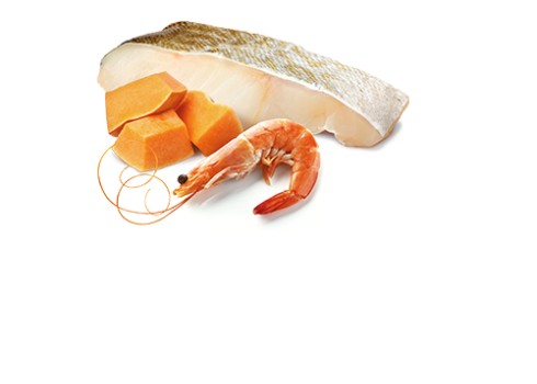 Farmina Ocean Cod, Shrimp & Pumpkin kassikonserv