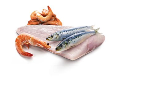 Farmina Ocean Sea Bass, Sardine & Shrimp kassikonserv