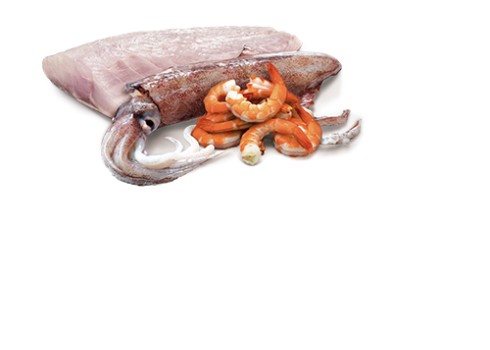 Farmina Ocean Sea Bass, Squid & Shrimp kassikonserv 12x80g