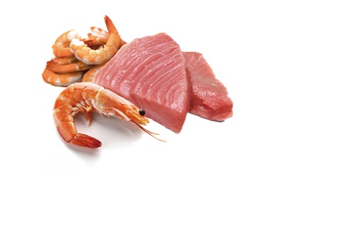 Farmina Ocean Tuna & Shrimp kassikonserv 12x80g