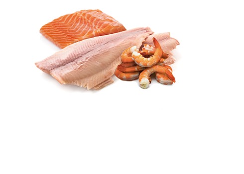 Farmina Trout, Salmon & Shrimp kassikonserv 12x80g