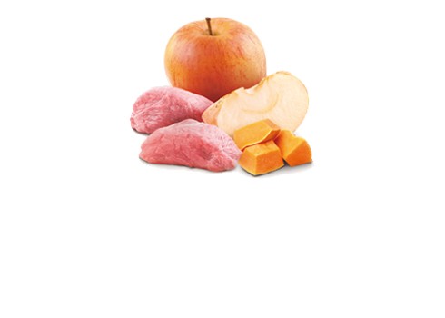 Farmina Boar, Pumpkin & Apple kassikonserv 12x80g
