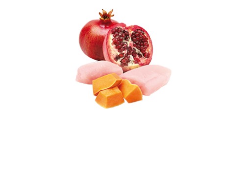 Farmina Chicken, Pumpkin & Pomegranate kassikonserv 12x80g