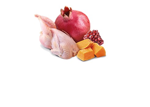 Farmina Quail & Pumpkin kassikonserv 12x80g