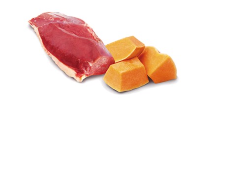 Farmina Duck & Pumpkin kassikonserv 12x80g