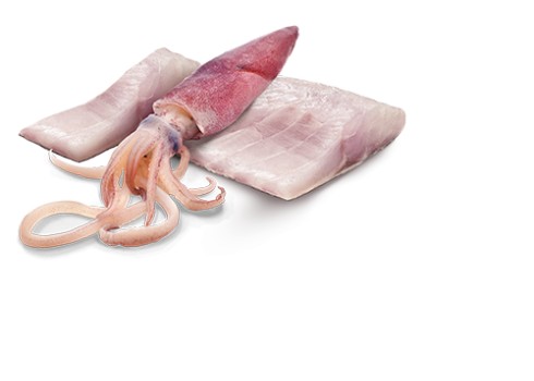 Farmina Ocean Sea Bass & Squid koerakonserv 6x285g