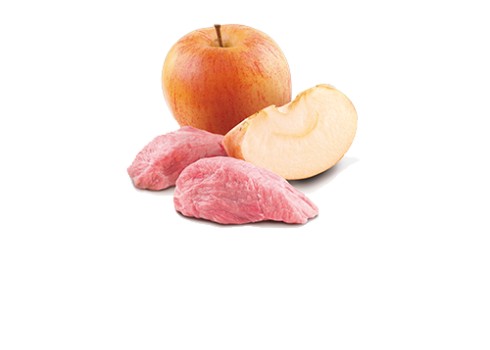 Farmina Prime Boar & Apple koerakonserv 6x285g