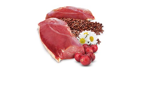 Farmina Quinoa  Duck Urinary kassikonserv 12x80g